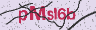 Code captcha